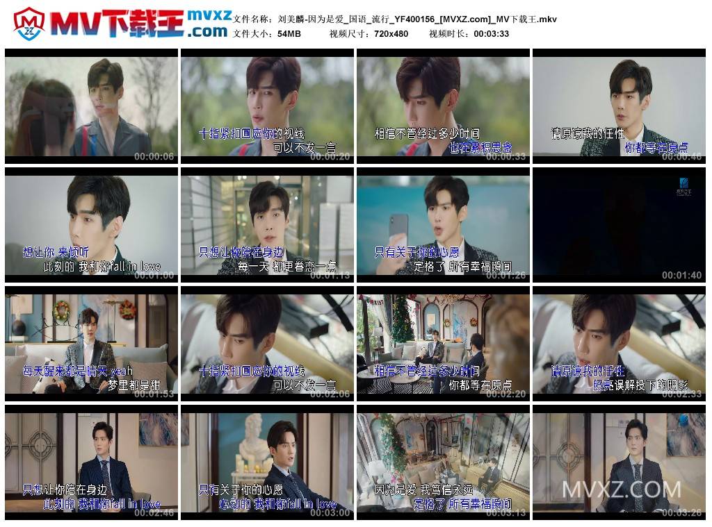 刘美麟-因为是爱_国语_流行_YF400156